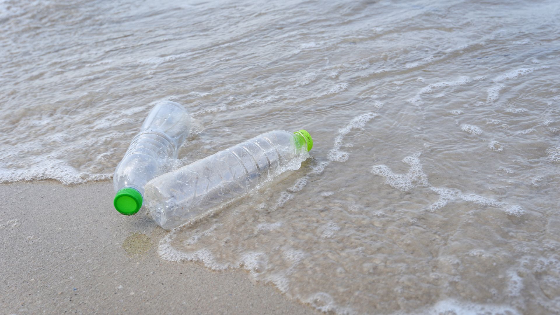Ocean Plastic Is Being Eaten by a Newly Discovered Bacteria. Now What?